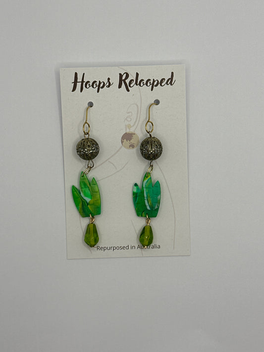 Green jewelled cactus